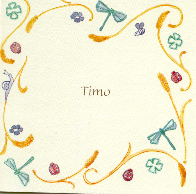 Geboortekaart van Timo Noort - Birthcard of Timo Noort